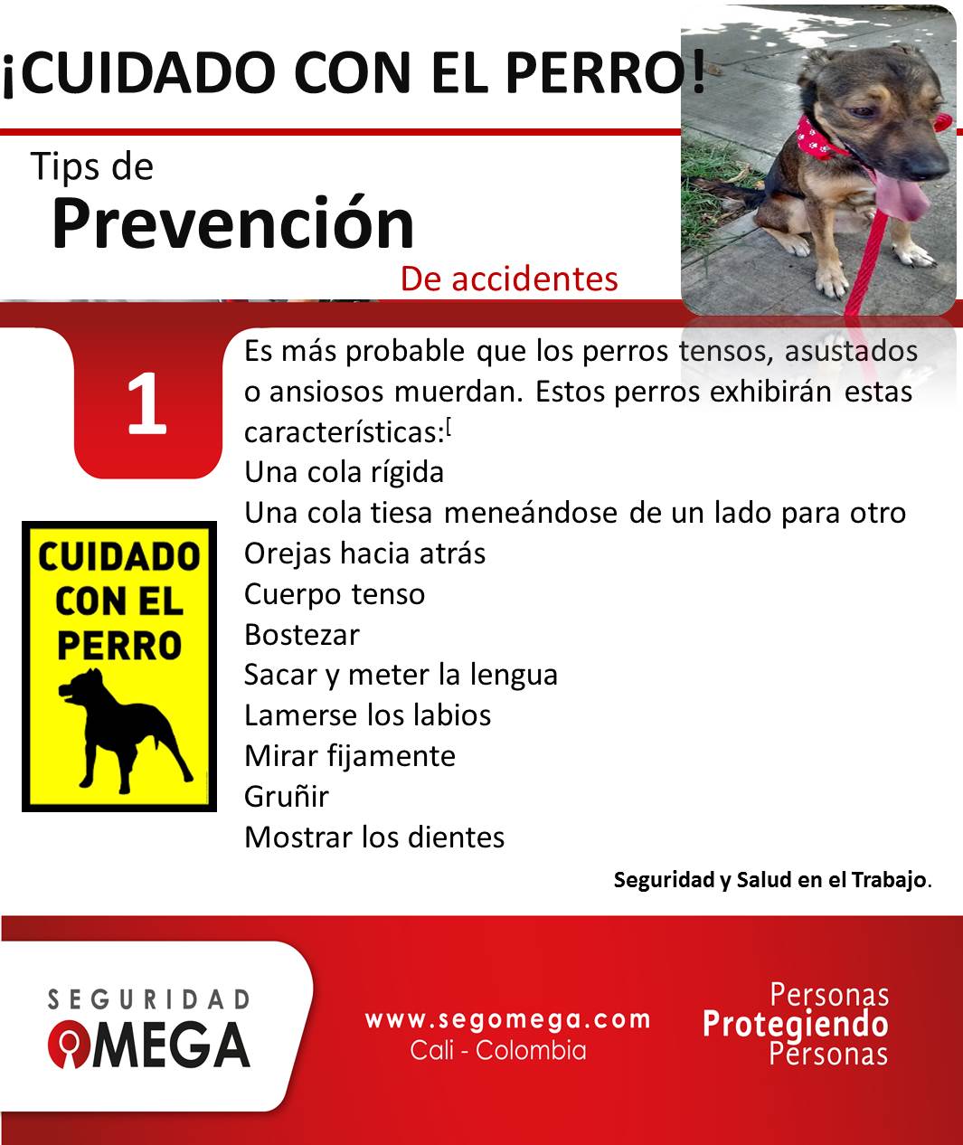 Seguridad Omega - Boletín de Seguridad Octubre 2016