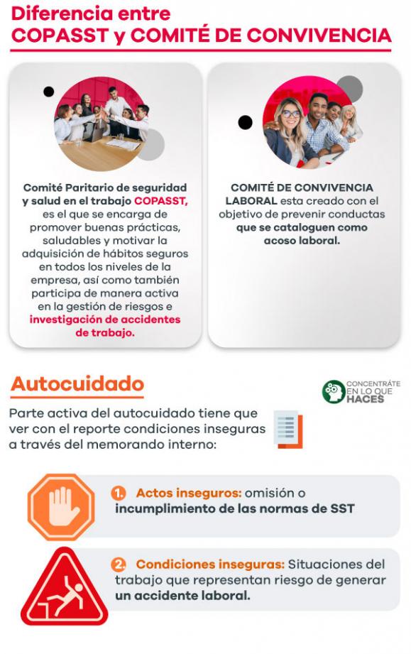 Seguridad Omega - Boletín de Seguridad