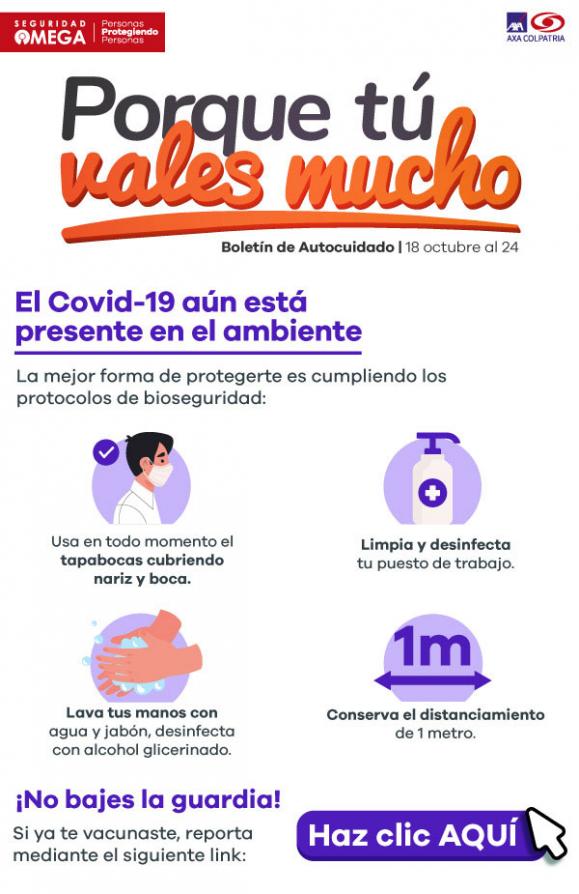 Seguridad Omega - Boletín de Seguridad