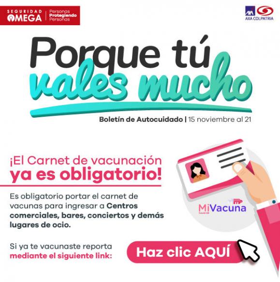 Seguridad Omega - Boletín de Seguridad