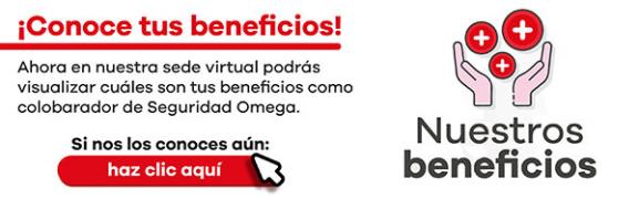 Seguridad Omega - Boletín de Seguridad