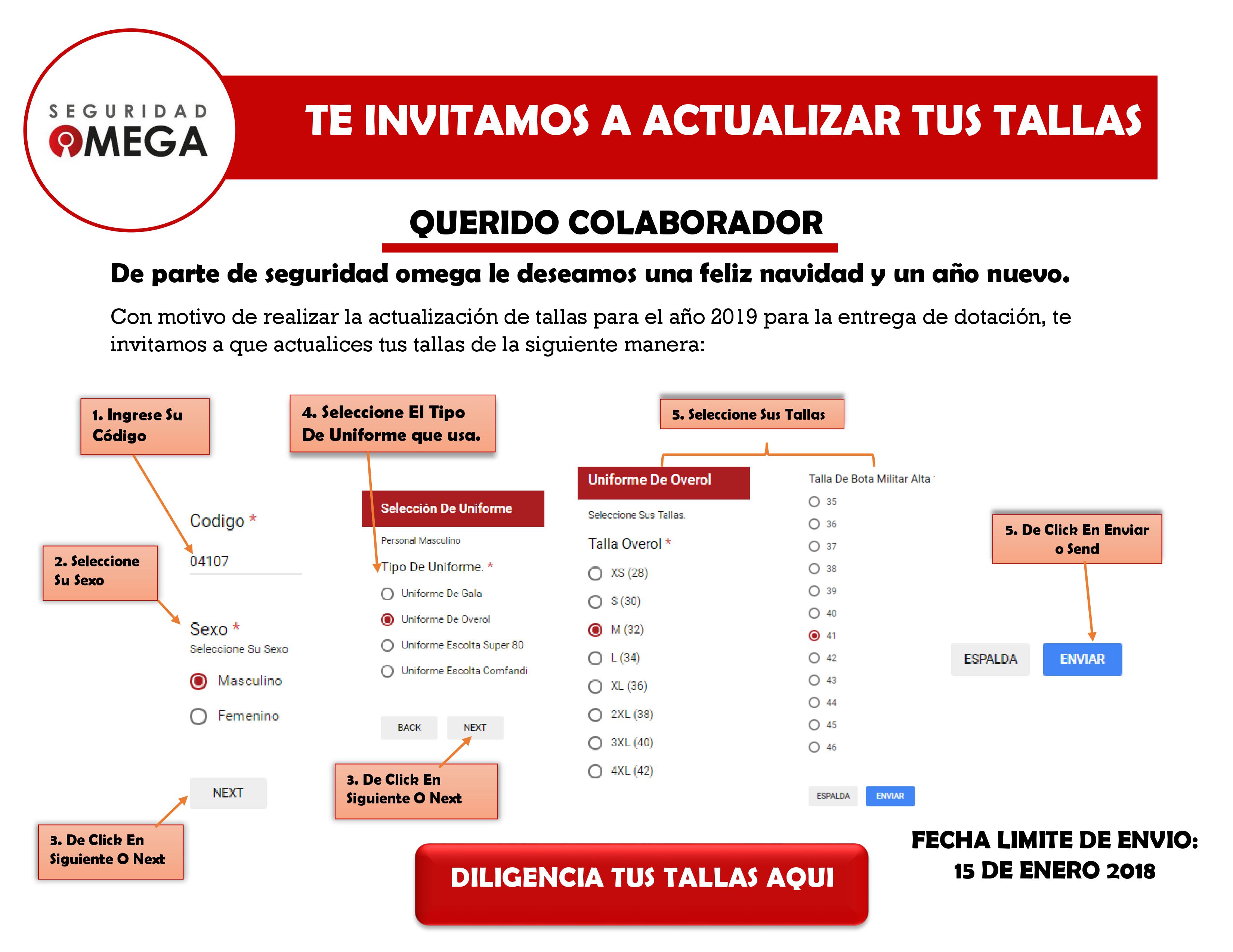 Actualiza tus tallas