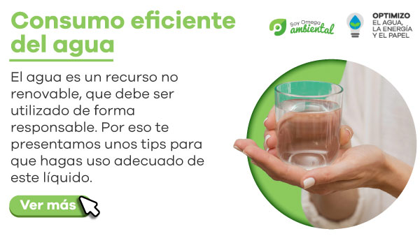 Seguridad Omega - Boletín de Seguridad