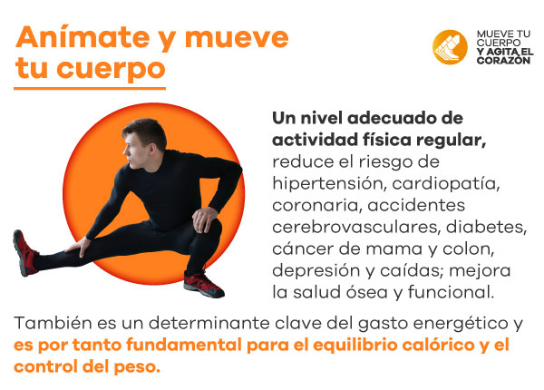 Seguridad Omega - Boletín de Seguridad