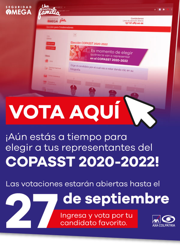 Seguridad Omega - Boletín de Seguridad