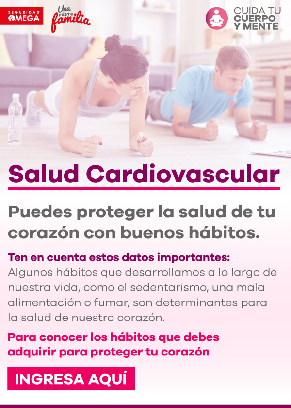 Seguridad Omega - Boletín de Seguridad