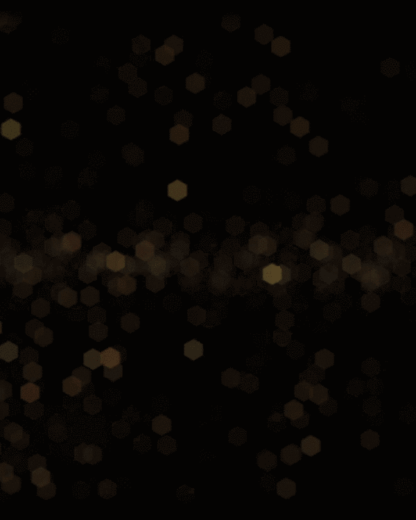 Seguridad Omega - Boletín de Seguridad