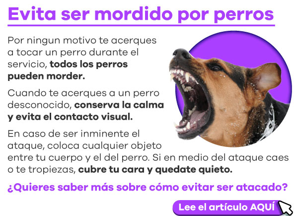 Seguridad Omega - Boletín de Seguridad