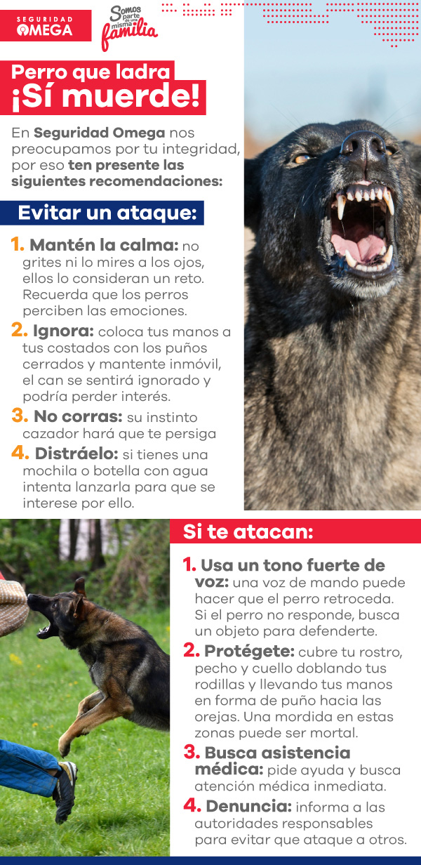 Seguridad Omega - Boletín de Seguridad