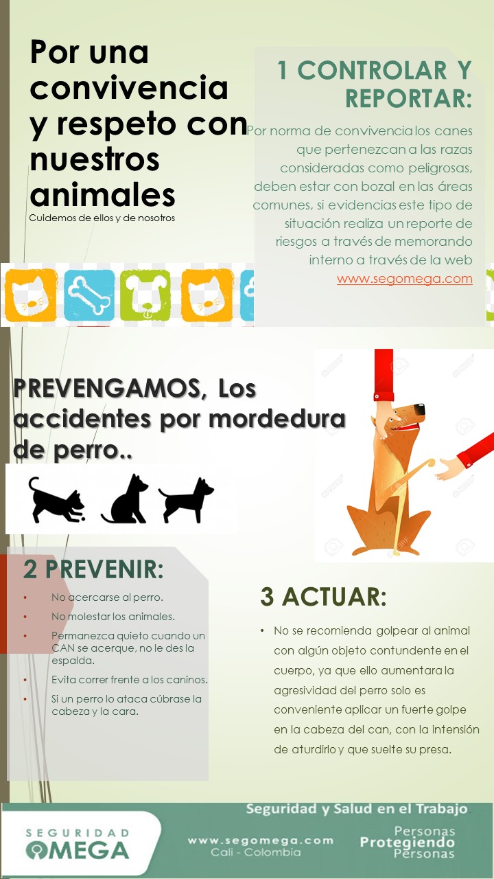 Celebración fin de año 2018 - Seguridad Omega