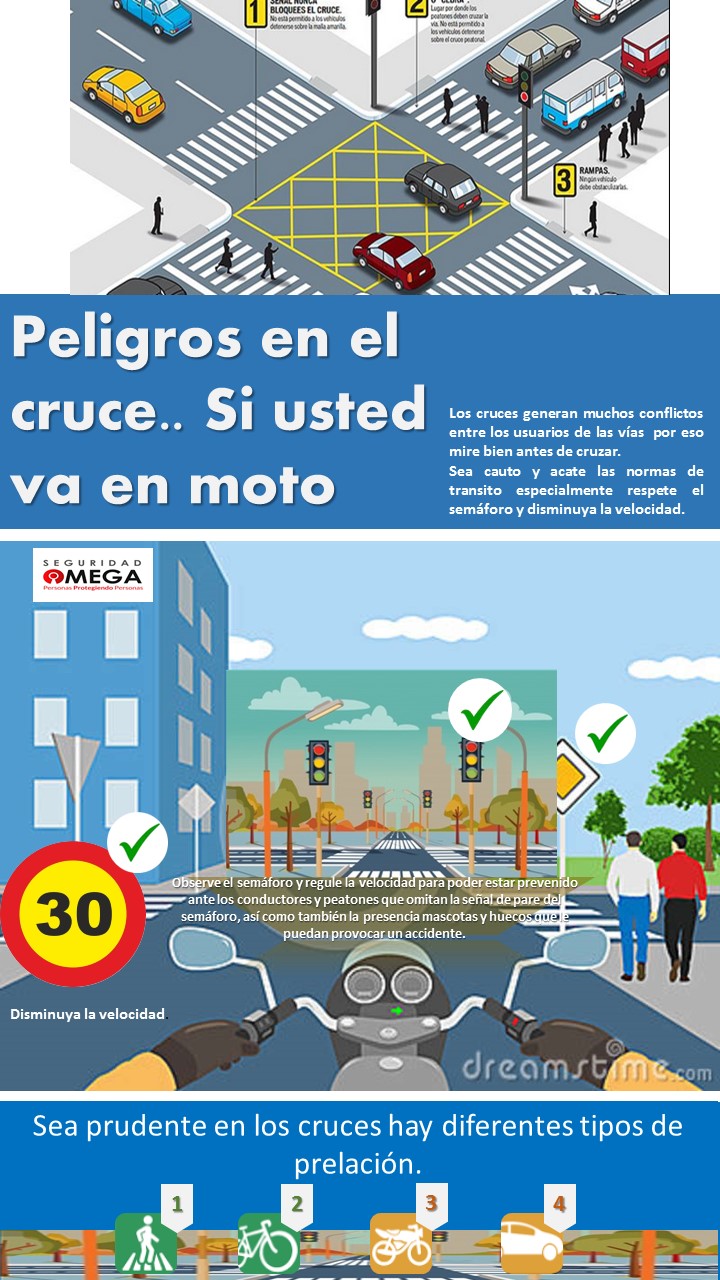 Seguridad vial